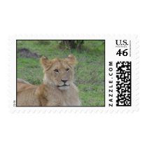 Wild postage