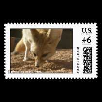 Wild Postage - Fennec postage by scottzazz Wild Postage - Fennec postage