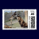 Wild Postage - Giraffe postage by scottzazz Wild Postage - Giraffe postage