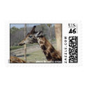 Wild Postage - Giraffe postage