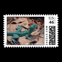 Wild Postage - green lizard stamps