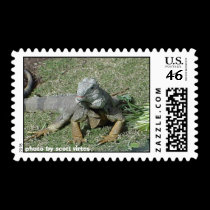 Wild Postage - Monitor postage by scottzazz Wild Postage - Monitor postage