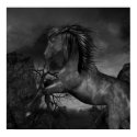 Wild Poster posters by 3Dillusions Wild Poster posters