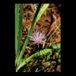 Wild Purple Flower Poster posters