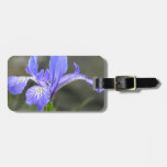 Wild Purple Iris Tags For Luggage