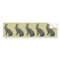 Wild Rabbit bumper stickers by kphotos Wild Rabbit bumper stickers