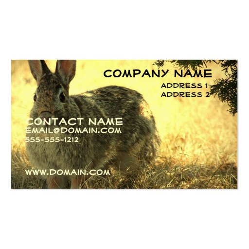 Wild Rabbit Business Card (front side)
