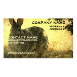 Wild Rabbit Business Card