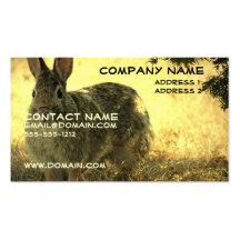 Wild Rabbit Business Card