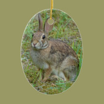 Wild Rabbit Eastern Cottontail Ornament ornaments