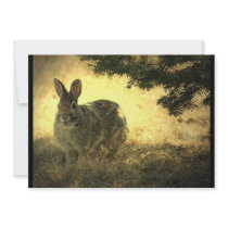 Wild Rabbit Invitation
