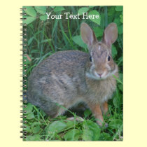 Wild Rabbit Nature Notebook notebooks