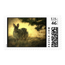 Wild Rabbit Postage Stamp