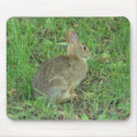 Wild  Rabbit Resting mousepads