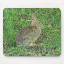 Wild Rabbit Resting mousepads by Grandmotherof4 Wild Rabbit Resting mousepads
