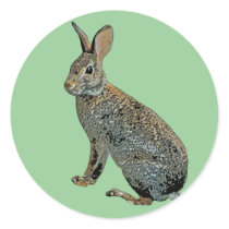 Wild Rabbit stickers by kphotos Wild Rabbit stickers
