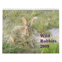 Wild Rabbits 2009 calendars by StormShooter Wild Rabbits 2009 calendars