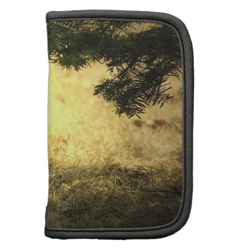 Wild Rabbits Wallet Planners