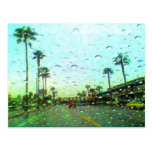 Wild Rain Postcard