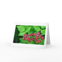 Wild Raspberries cards