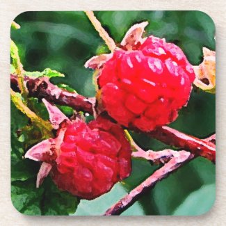 Wild Raspberries Coaster