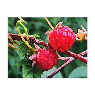 Wild Raspberries