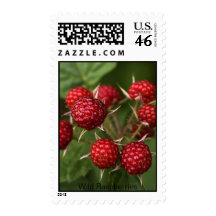 Wild Raspberries, Wild Raspberries Postage Stamp