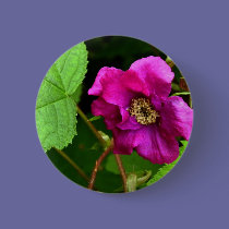 Wild Rasperry buttons