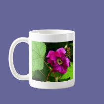 Wild Rasperry mugs