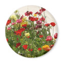 Wild  red and yellow flowers magnets