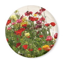 Wild red and yellow flowers magnets by Yarijik Wild red and yellow flowers magnets