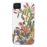 Wild Red Daisy Bouquet White casemate cases