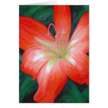 Wild Red Lily cards by janicelawrence Wild Red Lily cards