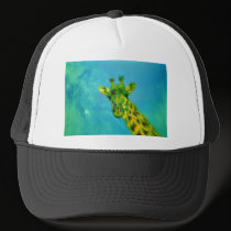 Wild Ride hats