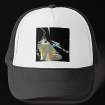 Wild Ride hats