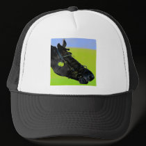 Wild Ride hats