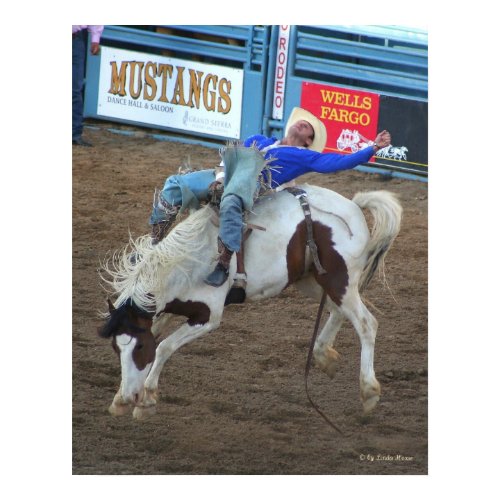 Wild Ride - Reno Rodeo 2010 print