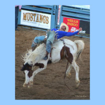 Wild Ride - Reno Rodeo 2010 posters