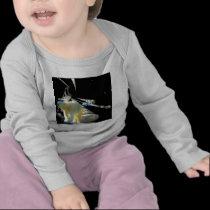 Wild Ride t-shirts