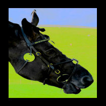 Wild Ride t-shirts