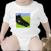Wild Ride t-shirts