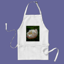 Wild Rose aprons