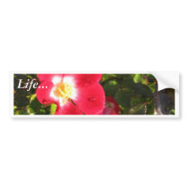 Wild Rose Bumper Stickers