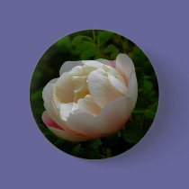 Wild Rose buttons
