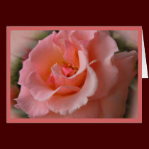 Wild Rose Cards Flowers Custom Greeting Card cards