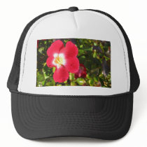 Wild Rose hats