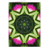 Wild Rose Lotus Mandala Greeting Cards