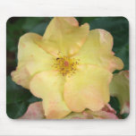 Wild Rose mousepads