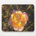 Wild Rose mousepads