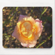 Wild Rose mousepads